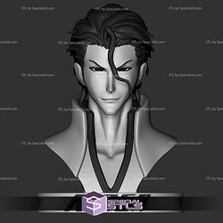 Basic STL - Aizen Bust