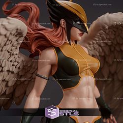 Hawkgirl with Mask 3D Print Files