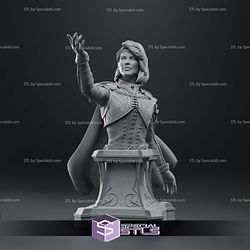 Isobel Baldurs Gate Bust 3D Printer Files 3D Print Files