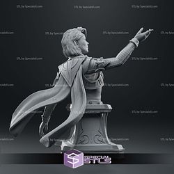 Isobel Baldurs Gate Bust 3D Printer Files 3D Print Files