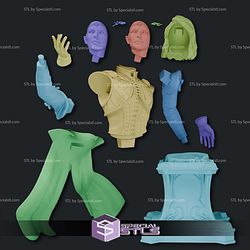 Isobel Baldurs Gate Bust 3D Printer Files 3D Print Files