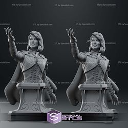 Isobel Baldurs Gate Bust 3D Printer Files 3D Print Files