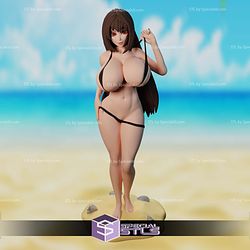 Beach Girl Pin Up Collection 3D Print Files