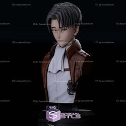 Levi Ackerman Detail Bust 3D Print Files