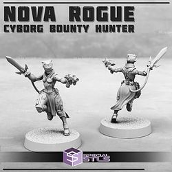 October 2024 Print Minis Miniatures