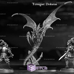 November 2024 Heroes Infinite Miniatures