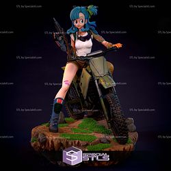 Bulma on Motor Sculptures 3D Printing