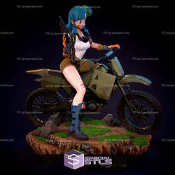 Bulma on Motor Sculptures 3D Printing