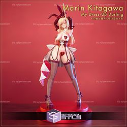 Marin Kitagawa Bunny New Sculptures 3D Printing