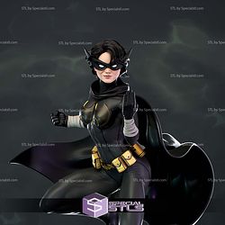 Cassandra Cain Batgirl Blackcat Sculptures 3D Printing