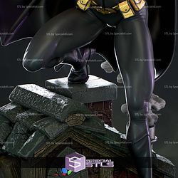 Cassandra Cain Batgirl Blackcat Sculptures 3D Printing