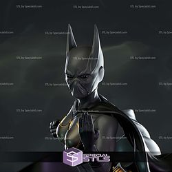 Cassandra Cain Batgirl Blackcat Sculptures 3D Printing