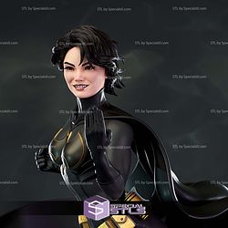 Cassandra Cain Batgirl Blackcat Sculptures 3D Printing