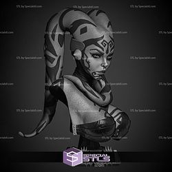 Darth Talon Portrait BustSculptures 3D Printing