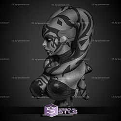 Darth Talon Portrait BustSculptures 3D Printing