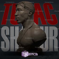 Tupac Shakur Bust V2 Sculptures 3D Printing