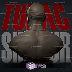 Tupac Shakur Bust V2 Sculptures 3D Printing