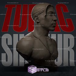 Tupac Shakur Bust V2 Sculptures 3D Printing