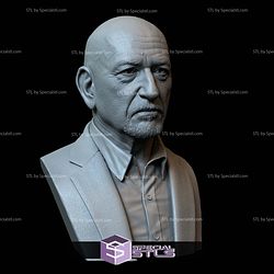 Bust Portrait STL Collection - Ben Kingsley