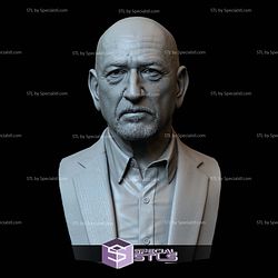 Bust Portrait STL Collection - Ben Kingsley