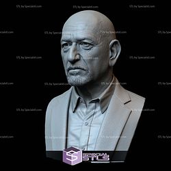 Bust Portrait STL Collection - Ben Kingsley