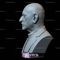 Bust Portrait STL Collection - Ben Kingsley