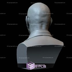 Bust Portrait STL Collection - Ben Kingsley