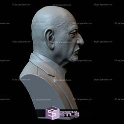 Bust Portrait STL Collection - Ben Kingsley