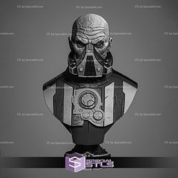 Darth Malgus Portrait Bust Sculptures 3D Printing