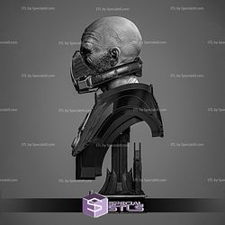 Darth Malgus Portrait Bust Sculptures 3D Printing