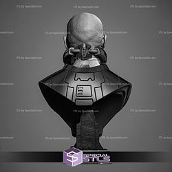 Darth Malgus Portrait Bust Sculptures 3D Printing