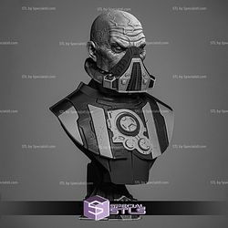 Darth Malgus Portrait Bust Sculptures 3D Printing