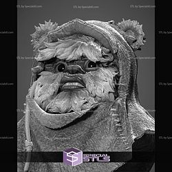 Ewok Portrait Bust Sculptures 3D Printing