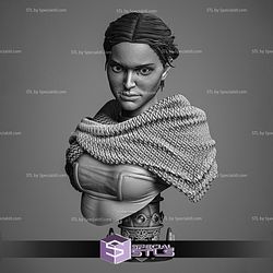 Padme Classic Portrait Bust Sculptures 3D Printing