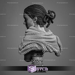 Padme Classic Portrait Bust Sculptures 3D Printing