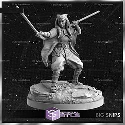 December 2024 C27 Collectibles Miniatures