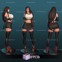 Tifa Stand NSFW Sculptures 3D Printing