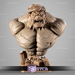 Hulk Bullet Portait Bust Sculptures 3D Printing