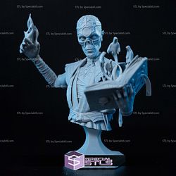 Withers Baldurs Gate 3 Bust Sculptures 3D Printing