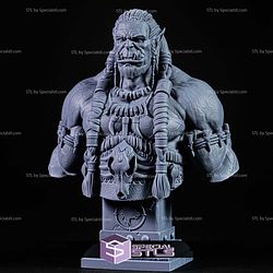 Simple STL Collection - Durotan Bust