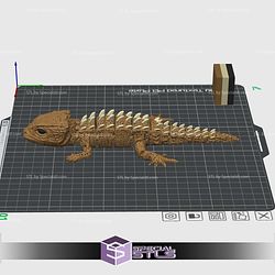 Horned Lizard Color 3D Print