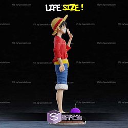 Life Size Monkey D Luffy STL Files