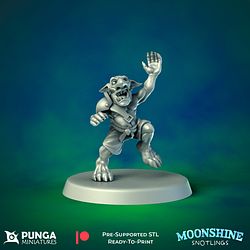 June 2021 Punga Miniatures