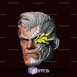 Custom Head STL Collection - Cable Flash