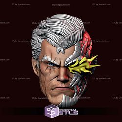 Custom Head STL Collection - Cable Flash
