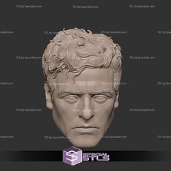 Custom Head STL Collection - Moon Knight Oscar Issac