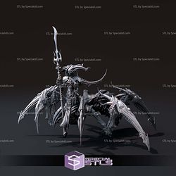 Daemon Damzels Campaign STL Miniatures