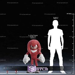 Life Size Knuckles from Sonic STL Files