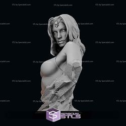 Mystique 1-6 Bust 3D Printer Files