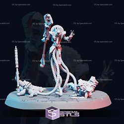 Necroyd Tomb Lords Campaign STL Miniatures